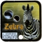 ZEBRA - MEGA MARBLES - MEGA MARBLES 24+1 (2009-2013) (FACE)